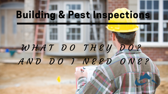 Building/Pest Inspector - What Do They Do? And Do You Need One? - The ...